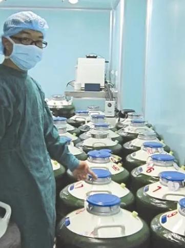液氮冻存 液氮冻存