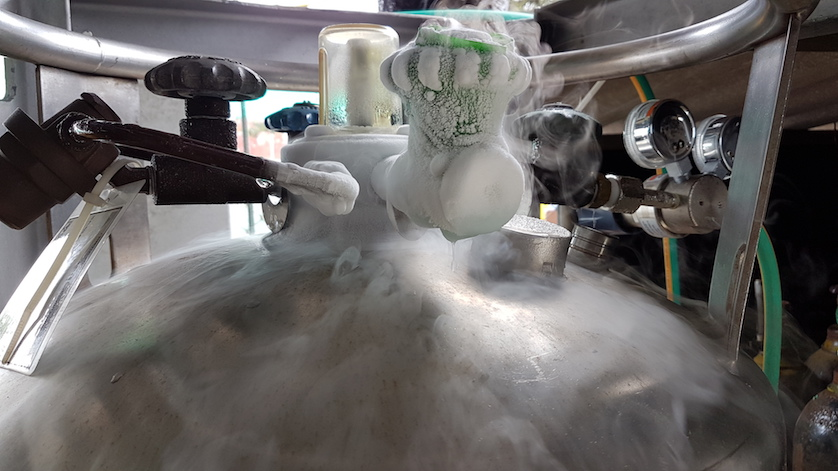 液氮补给罐 液氮补给罐